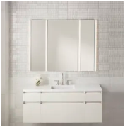 Robern Vanity Set