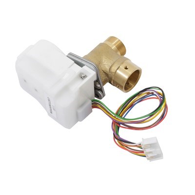 AO Smith 100074370 Bypass Valve kit