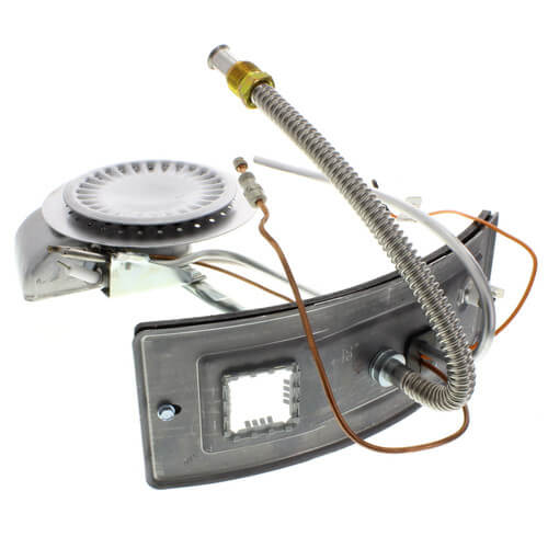 AO Smith 100111337 Natural Gas Complete Burner/Door Assembly