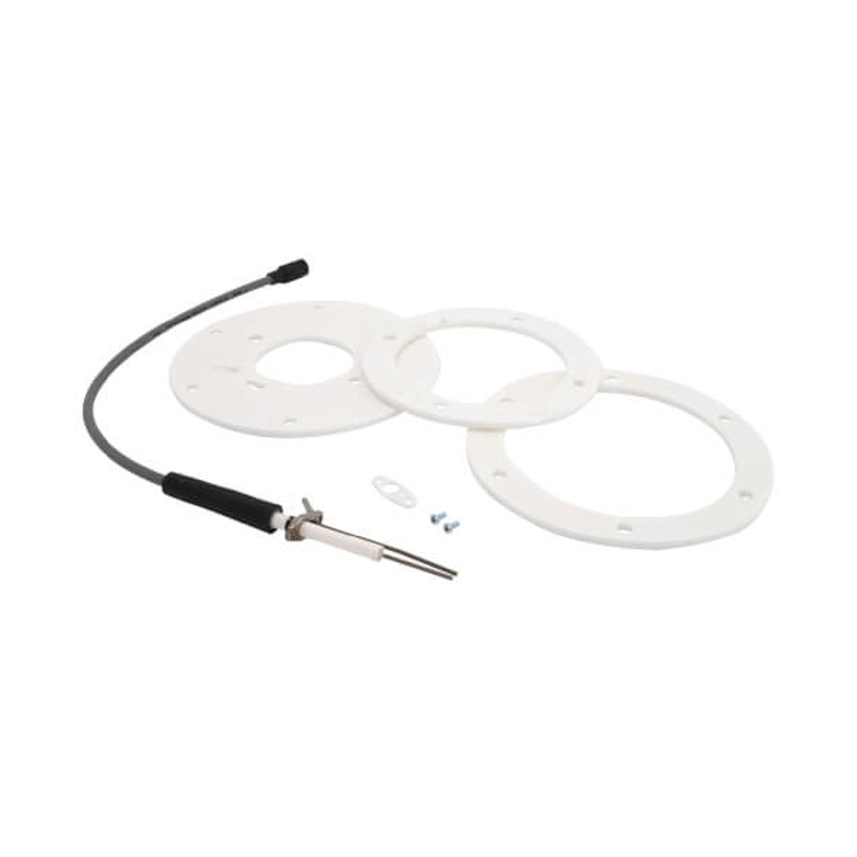 AO Smith 100191120 Igniter Assembly, 200/201
