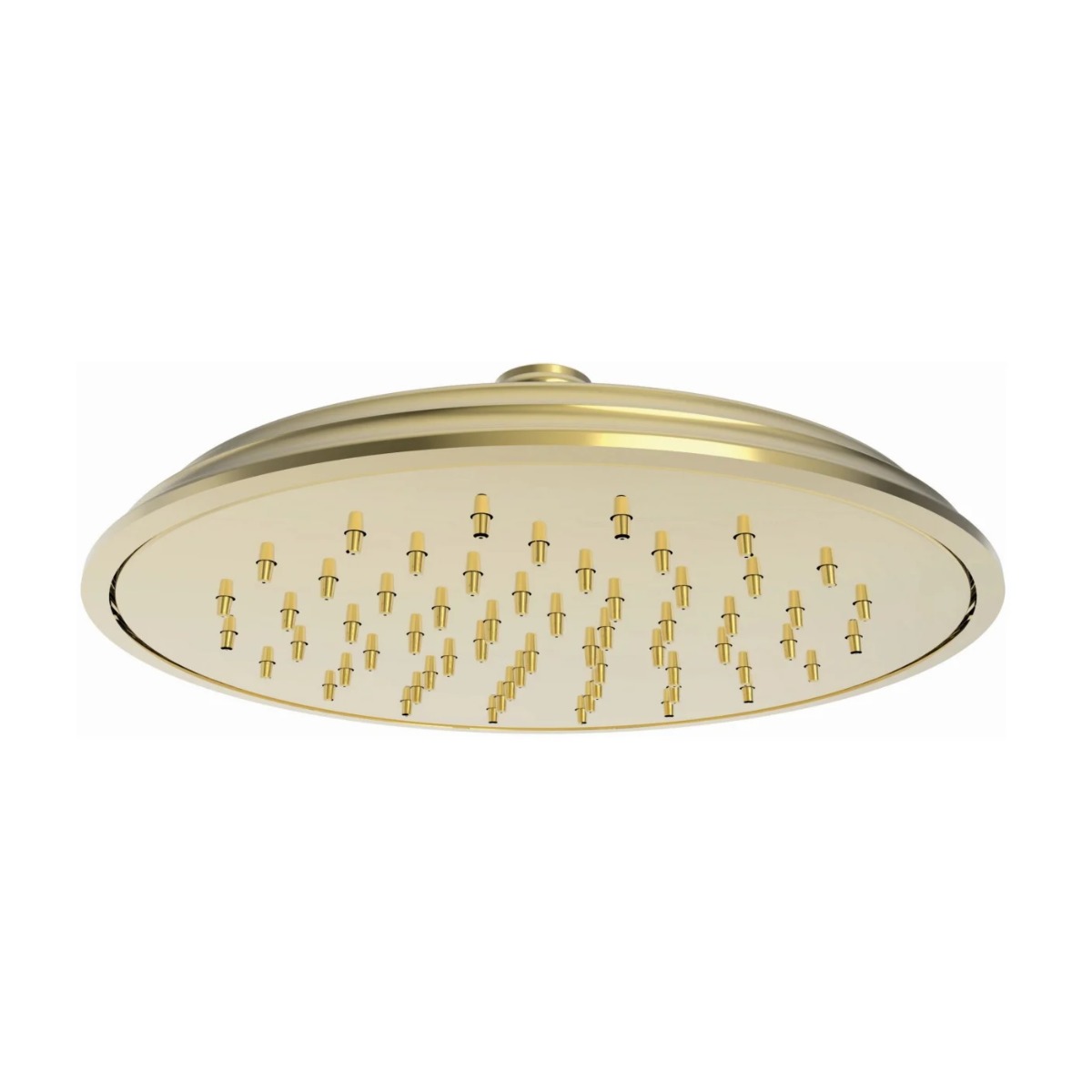 Newport Brass 2152/01 1.8 GPM Ceiling Mounted Single Function Rainfall Shower Head in Forever Brass PVD