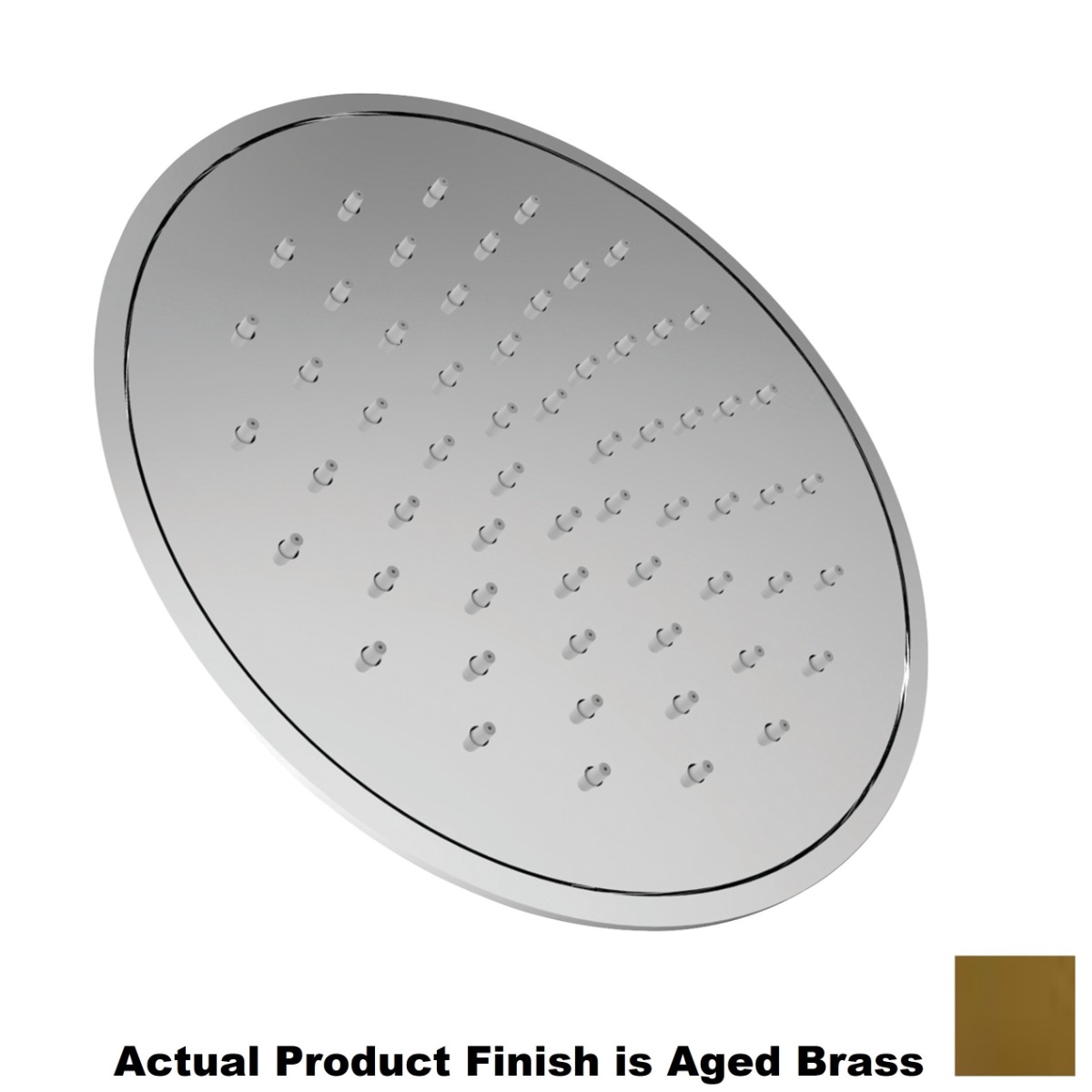 Newport Brass 2152/034 1.8 GPM Ceiling Mounted Single Function Rainfall Shower Head in Aged Brass