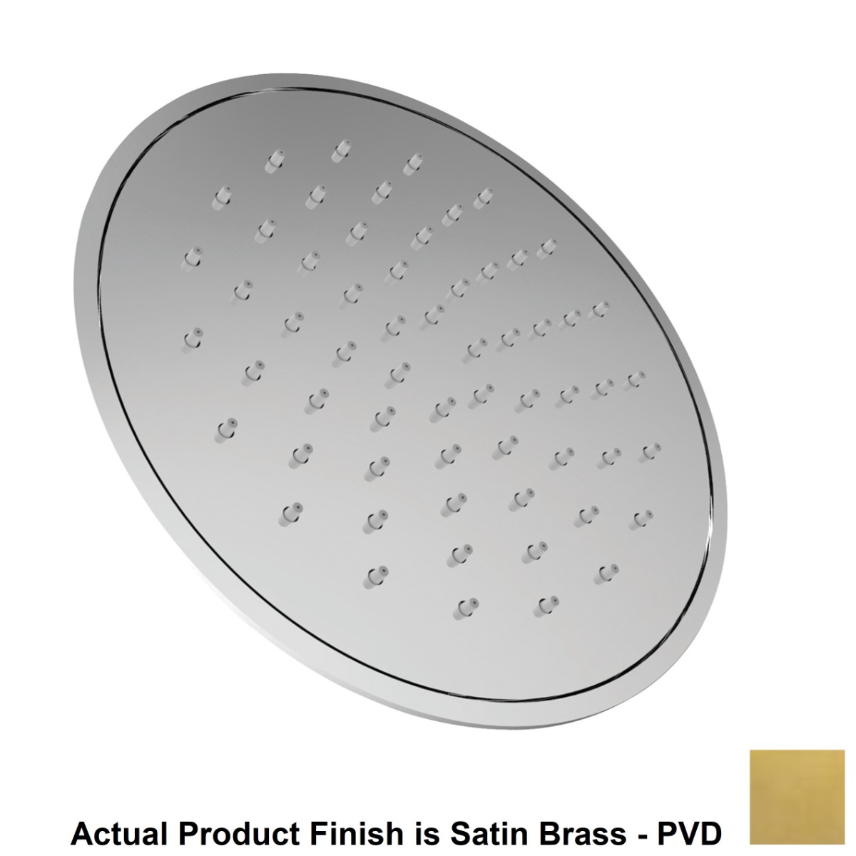 Newport Brass 2152/04 1.8 GPM Ceiling Mounted Single Function Rainfall Shower Head in Satin Brass PVD