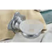 Delta 78059-MC Delta 78059MC Matte Chrome Michael Graves Soap Dish