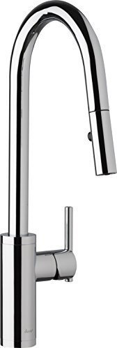 Danze D454058 Parma Caf?? Single Handle Pull-Down Kitchen Faucet with Snapback Retraction, Chrome
