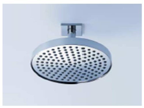 Dornbracht 28568780-060010 Shower Head In Platinum Matte