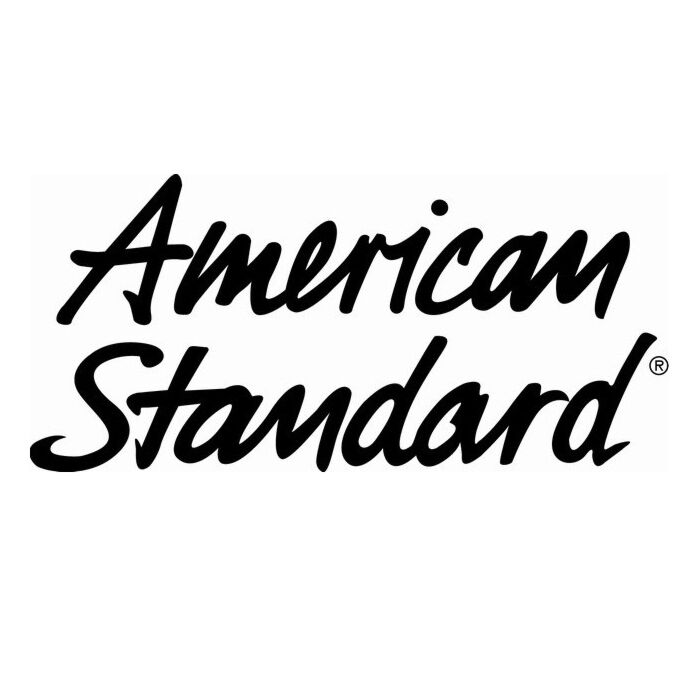 American Standard 5019017.165 Bidet Wall Mount, Silver