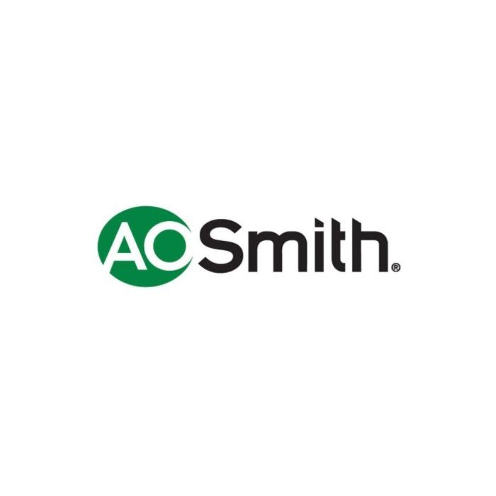AO Smith 100371171 Flow Sensor Adjustable Gas Valve for Tankless Water Heaters