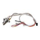 AO Smith 100093983 Thermopile / Pilot Assembly, LP