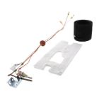 AO Smith 100109294 LP Gas Pilot Assembly 