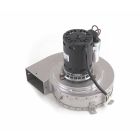 AO Smith 100110631 Blower Assembly