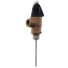 AO Smith 100110714 Temperature And Pressure Relief Valve