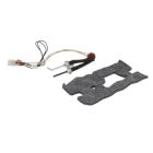 AO Smith 100110771 Hot Surface Ignitor/Flame Sensor Assembly