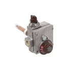 AO Smith 100112613 - Natural Gas Valve