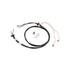 AO Smith 100112697 Wiring Harness Kit