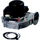 Lochinvar 100145005 Fan Assembly