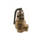 Apollo 1060510 10-600, 1", 1,956 MBtu Bronze Hot Water Relief Valve, 50 PSI