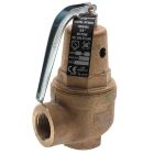 Apollo 1060534 1" FNPT RVW60 5,044,000 BTU Bronze Hot Water Relief Valve (150 psi)