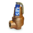 Apollo 1060810 Safety Relief Valve, 2", 50 psi, Bronze