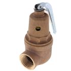 Apollo 1061615 1-1/4" FNPT x 1-1/2" FNPT RVW61 5,535,000 BTU Bronze Relief Valve (75 psi)