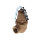 Apollo 1061725 10-600 Series 1-1/2" FNPT X 2" FNPT, RVW61, 11,792 MBtu, 125 PSI Bronze ASME Hot Water Safety Relief Valve