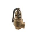 Apollo 1061805 10-600, 2" X 2-1/2", 6,091 MBtu Bronze Hot Water Relief Valve, 30 PSI