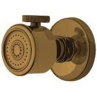 Newport Brass 2171/06 Body Spray W/Volume Control in Antique Brass