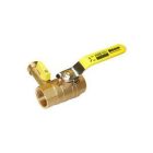 Webstone 40615 1-1/4" Threaded (IPS) Pro-Pal Ball Valve w/ Hose Drain