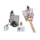 Bradford White 265-46181-01 Natural Gas Valve