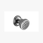 Dornbracht 28518360-06 Madison Body Spray In Platinum Matte