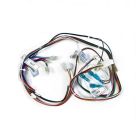 Navien 30003025A Wiring Harness - Low Voltage