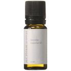 Mr. Steam 103811 Mr. Steam Lavender Essential Oil, 10 mL