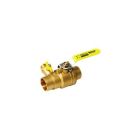 Webstone 50616 1-1/2-Inch SWT Pro-Pal Ball Valve with Hi-Flow Hose Drain