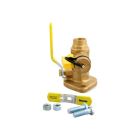 Webstone 50413 3/4-Inch SWT Isolator Uni-Flange Ball Valve with Hi-Flow Hose Drain