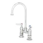 T&S Brass B-0325 Deck Mount Double Pantry Faucet with 4-Inch Centers and Swivel Gooseneck