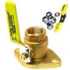 Webstone 40404 Threaded Isolator Flange Valve, 1" Size, Brass