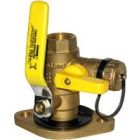 Webstone 51415 1 1/4 Isolator w/ Rotating Flange & Multi-Function Drain 5141 Series