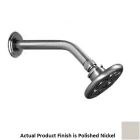 Harrington Brass Works 32-601-014 Chelsea 6" L X 4" H X 10" W Shower Head with Dome Spray in Polished Nickel