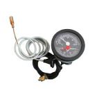 Weil-McLain 383500630 Pressure/Temperature Gauge Assembly