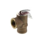 Weil-McLain 383600091 3/4" 30 PSI Female Relief Valve