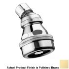 Sloan 04021029 Act-O-Matic® 2.5 GPM Standard Shower Head in Polished Brass