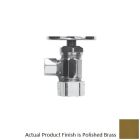 Newport Brass 403/03 1/2'' Compression Angle Valve in Polished Brass