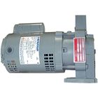 Hoffman 180001 HOFFMAN WATCHMAN B-STYLE PUMP & MOTOR ASSEMBLY 1/3 HP (1/3 HP) 3500 RPM 1 PHASE