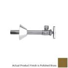 Newport Brass 416/03 1/2'' Sweat Angle Valve Kit in Polished Brass