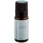 Mr. Steam 103810 Mr. Steam Eucalyptus Essential Oil, 10 mL