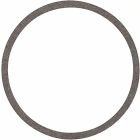 Bell and Gossett 118373 Replacement Flange Gasket Set-556267