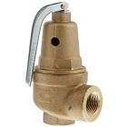 Conbraco 10-604-05 Bronze Pressure Relief Valve, Hot Water, 30 PSI, 3/4" NPT Female