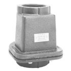 Zoeller 30-0152 2" FPT Cast Iron Check Valve