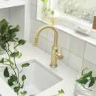 Blanco 442983 Empressa Pull-Down Bar Faucet 1.5 GPM in Satin Gold
