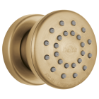 Delta 50102-CZ 1.75 GPM Surface Mount Body Spray in Champagne Bronze